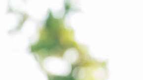 Esto es lo que más llama la atención de un hombre a una mujer.