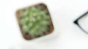 La compañía planea implementar un reporte detallado del tiempo que pasan los usuarios en la plataforma.