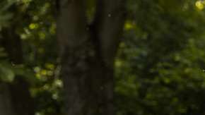 Alguien quiso crear pánico entre la población.