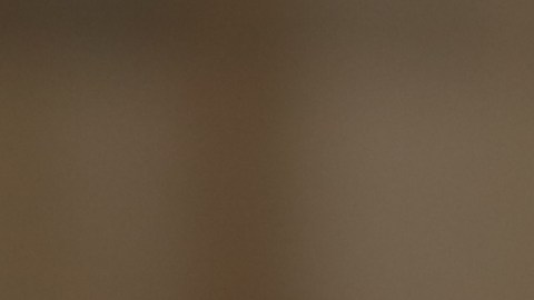 El 60% de las madres trabajadoras dicen que equilibrar trabajo y hogar es complicado. El 52% de los padres opina igual./Shutterstock