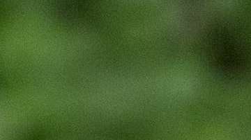 Stewart fue declarada culpable de obstrucción a la justicia, conspiración y falsos testimonios.