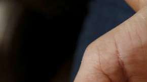 El problema se debe a demoras en el Centro de Servicios de California (CSC)