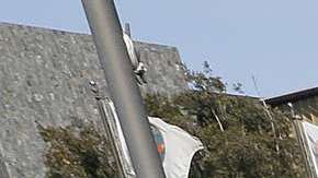 Un campamento de indigentes en Santa Ana. (Aurelia Ventura/La Opinion)