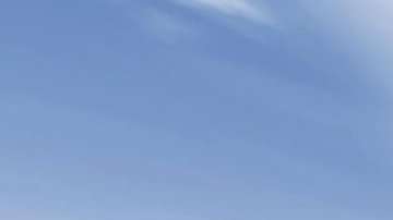 Es posible que volvamos a traer al mamut lanudo en forma de un elefante híbrido.