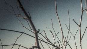 Moynaq fue el principal puerto pesquero de Uzbekistán sobre el mar de Aral.