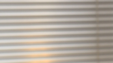 Anna Scanlon interpuso una demanda contra un "youtuber".