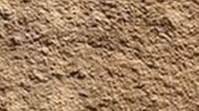 Huella encontrada en China en rocas de entre 551 y 541 millones de años.