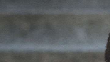 Garrard Conley fue sometido a la fuerza a terapia "anti-gay" cuando era adolescente.