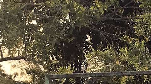 Valle de Paz se encuentra cerca de la capital de Belice, Belmopán.