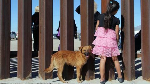 Muchos niños ya vienen con traumas desde sus países