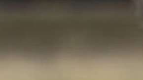 102166427_untitled-3