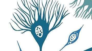 este tipo de tecnología ayude a mejorar el diagnóstico y tratamiento de enfermedades.