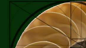 La concha del nautilinos  es la imagen usada para ilustrar el desarrollo del cálculo.