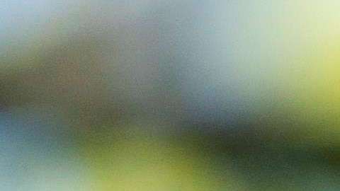 El presidente Trump ha sido criticado por su política de deportaciones.