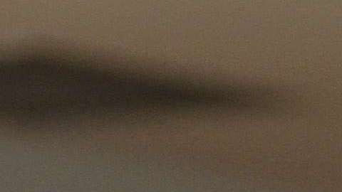 La candidata a diputada Juana Iraís Maldonado fue asesinada en Puebla.