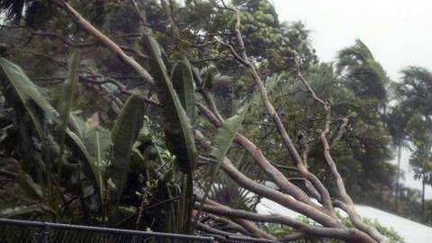 Los ciclones tropicales se desplazan cada vez más despacio y causan más daños.