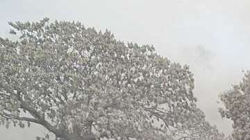 La búsqueda de más víctimas se suspendió por el mal tiempo. EFE