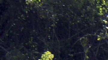 El autobús venía de Aguascalientes al santuario del Cristo de Chalma.