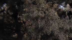 bomberos en labores de búsqueda en la aldea San Miguel Los Lotes.