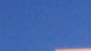 La ley exige ciertos requisitos laborales para recibir cupones de alimentos.