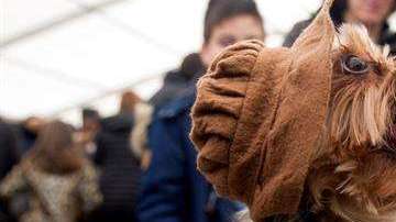 El clima y la falta de higiene hacen que proliferen estas enfermedades.