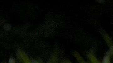 Un homenaje en memoria de las víctimas del tiroteo contra la redacción del periódico Capital Gazette.