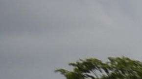 Miles de nicaragüenses participan en la "Marcha de las Flores".