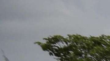 Miles de nicaragüenses participan en la "Marcha de las Flores".