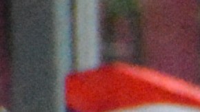 Desfile del Día de Puerto Rico en NYC/Archivo.