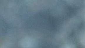 Putin respondió por las imágenes.