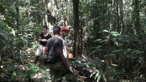Científicos miden el terreno los efectos de la sequía en la Amazonía.