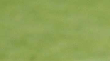 El delantero peruano Raúl Ruidíaz. (Foto: EFE/ Daniel Kopatsch)