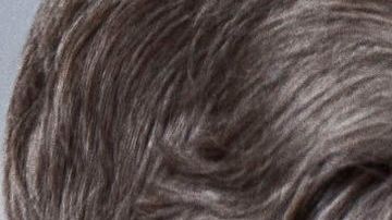 Trump generó sus típicas controversias en la G7