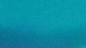 Justify corre al inicio de la carrera número 150 de Belmont Stakes.