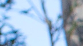 Miles de manifestantes tomaron las calles de casi 80 ciudades de Estados Unidos, el 14 de junio de 2018, para expresar su repudio a la decisión del Gobierno de Donald Trump de separar a las familias inmigrantes detenidas en la frontera, lo que calificaron de "inhumano" e "inmoral".