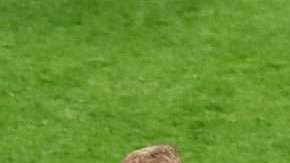 Denis Cheryshev celebra la segunda victoria de Rusia en el Mundial. (Foto: EFE/EPA/MAHMOUD KHALED)