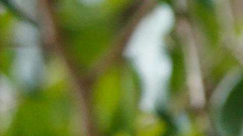 Balda espera que su caso judicial ayuda a mostrar lo sucedido en Ecuador.