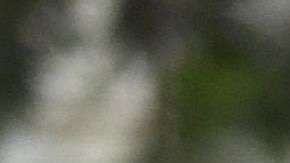 De Nueva York a Los Ángeles, más de 300 ciudades se han declarado santuarios desde que Trump tomó protesta, con el fin de prevenir la separación de familias con parientes indocumentados.