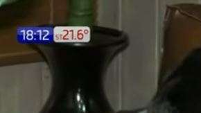 Iana pudo reencontrarse con su verdadera madre.