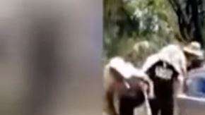 La familia pagó más de $1,500 dólares para cumplir la última voluntad.