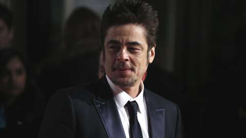 Benicio del Toro.