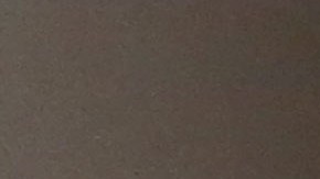 El cardenal Dolan aseguró que harán todo lo posible unir a los niños con sus padres.