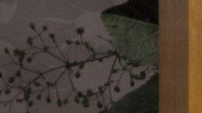 Verónica Castro y Aislinn Derbez son parte del elenco.