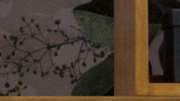 Verónica Castro y Aislinn Derbez son parte del elenco.