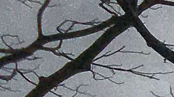 La generación de cono y la de flujo de lava en la fisura 8 continúa.