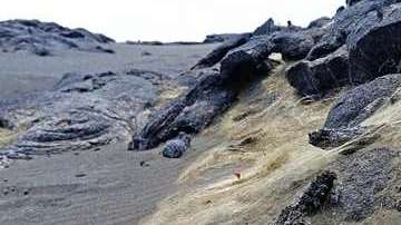 El “cabello de Pele” cubre el suelo en Hawaii por varias millas.