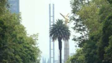 Reforma se llenó de colores