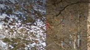 Su consultorio en Flushing se hizo popular para conseguir recetas facilmente