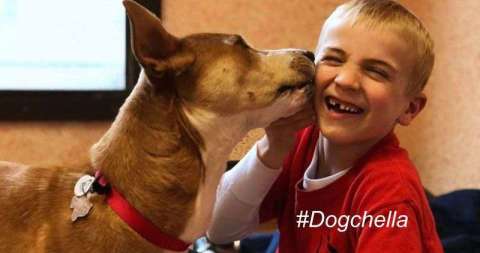 Un niño de tan solo 6 años quiere rescatar y adoptar a todos los perros posibles