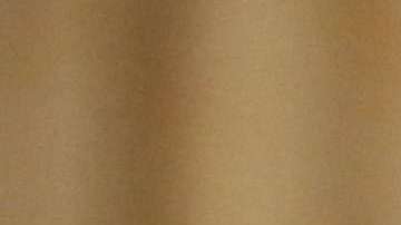 La ex-comisionada del Servicio de Inmigración y Naturalización (INS), Doris Meissner, en un evento del Diálogo Interamericano en Washington el 5 de junio de 2018 . ©  Rick Reinhard  2018